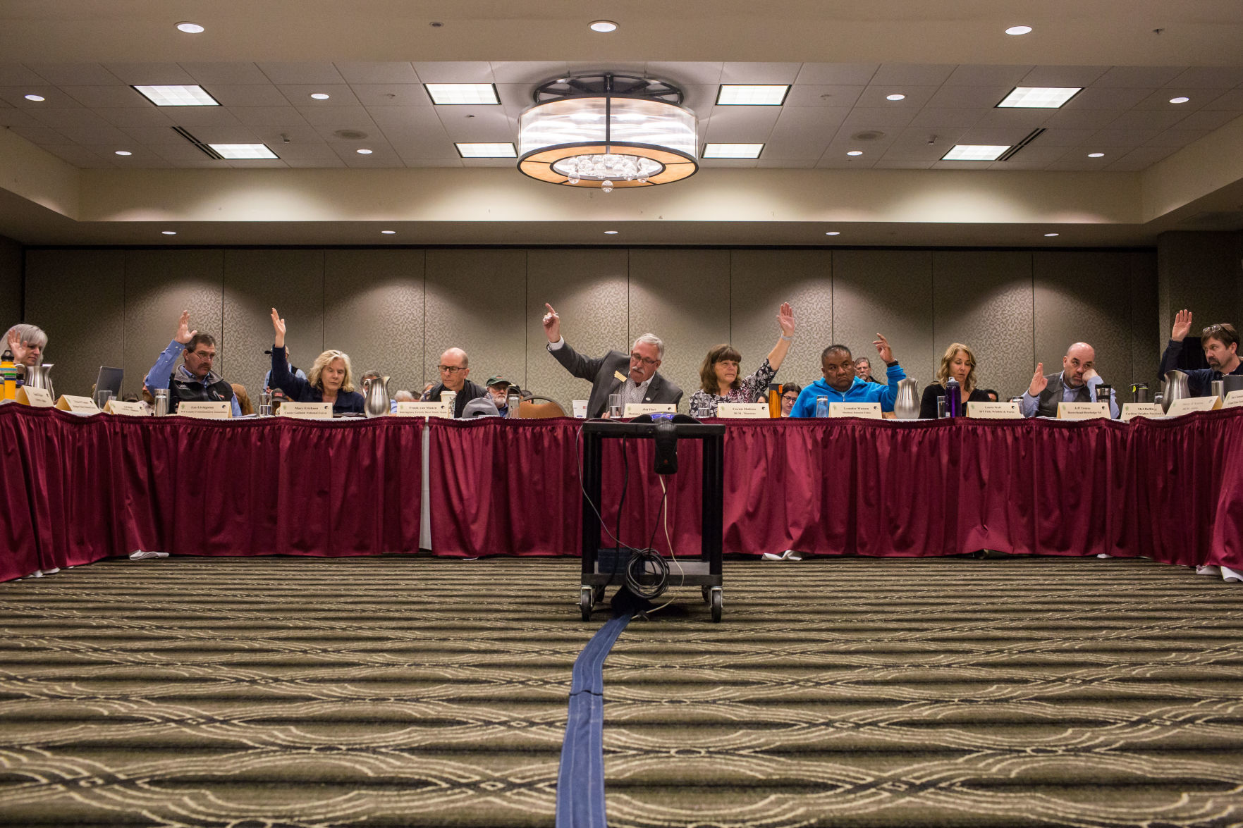 Yellowstone Ecosystem Subcommittee of the Interagency Grizzly Bear Committee Spring Meeting